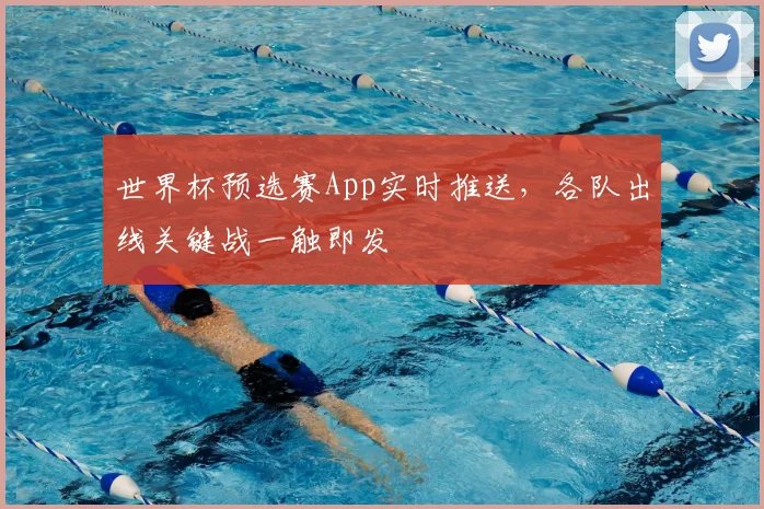 世界杯预选赛App实时推送，各队出线关键战一触即发