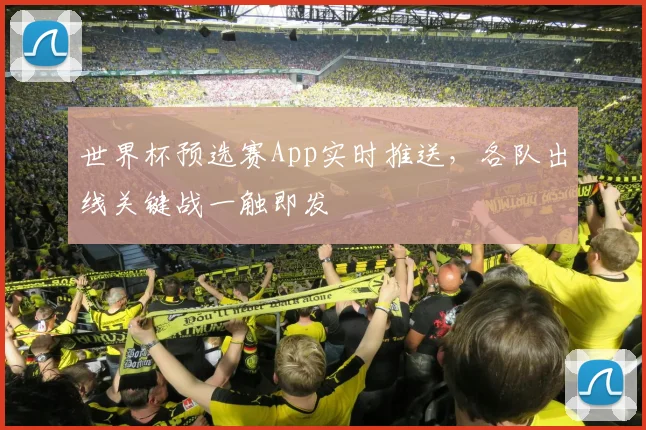 世界杯预选赛App实时推送，各队出线关键战一触即发