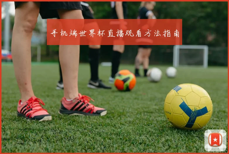 手机端世界杯直播观看方法指南