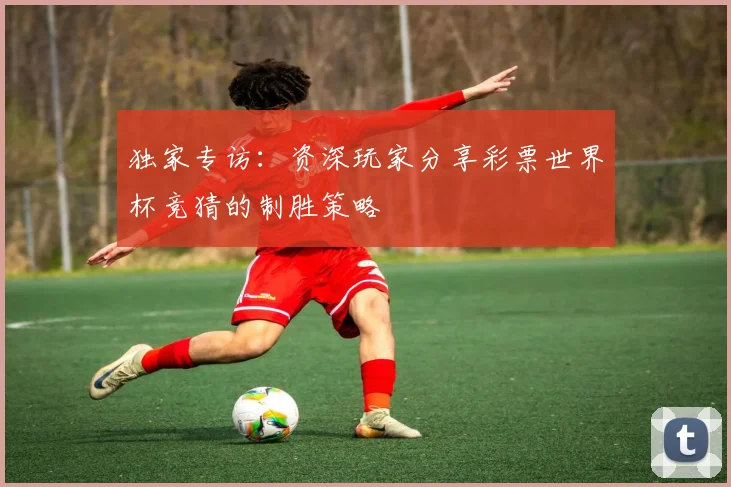 独家专访：资深玩家分享彩票世界杯竞猜的制胜策略