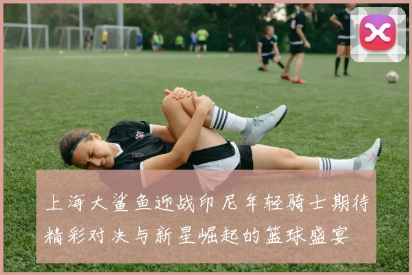 上海大鲨鱼迎战印尼年轻骑士期待精彩对决与新星崛起的篮球盛宴