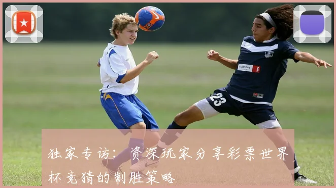 独家专访：资深玩家分享彩票世界杯竞猜的制胜策略