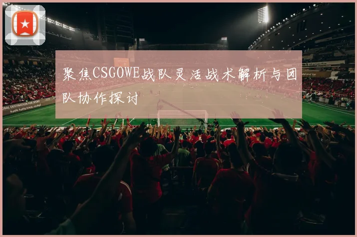 聚焦CSGOWE战队灵活战术解析与团队协作探讨