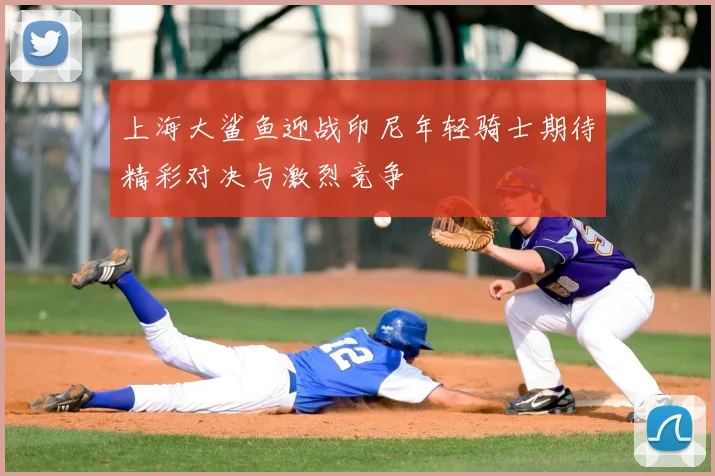 上海大鲨鱼迎战印尼年轻骑士期待精彩对决与激烈竞争