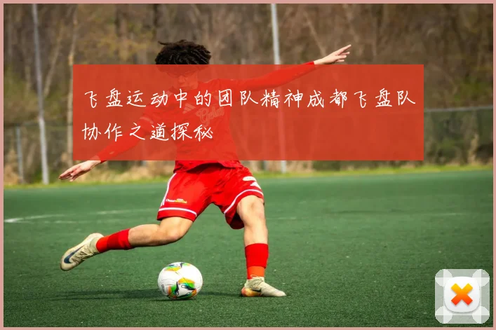 飞盘运动中的团队精神成都飞盘队协作之道探秘